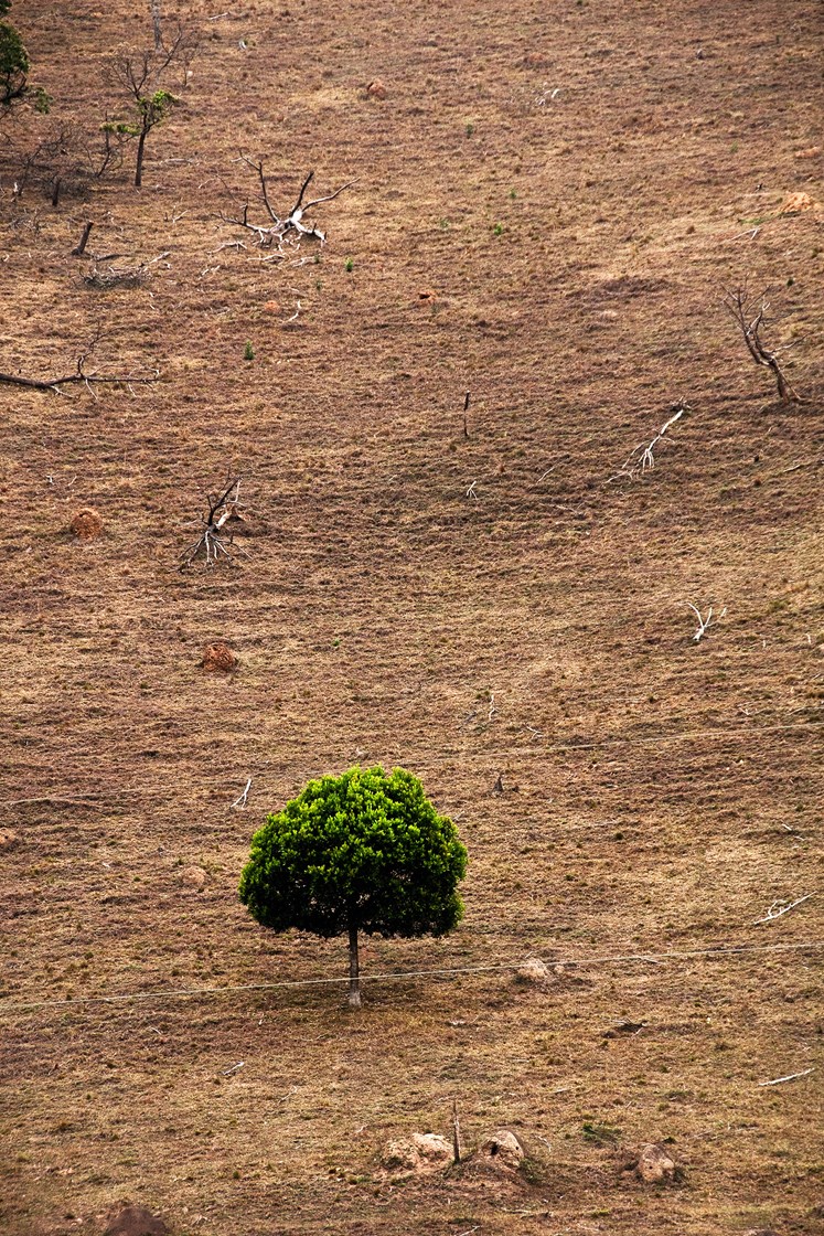 Green Earth Stone by Guilherme Bergamini — image 4 of 5