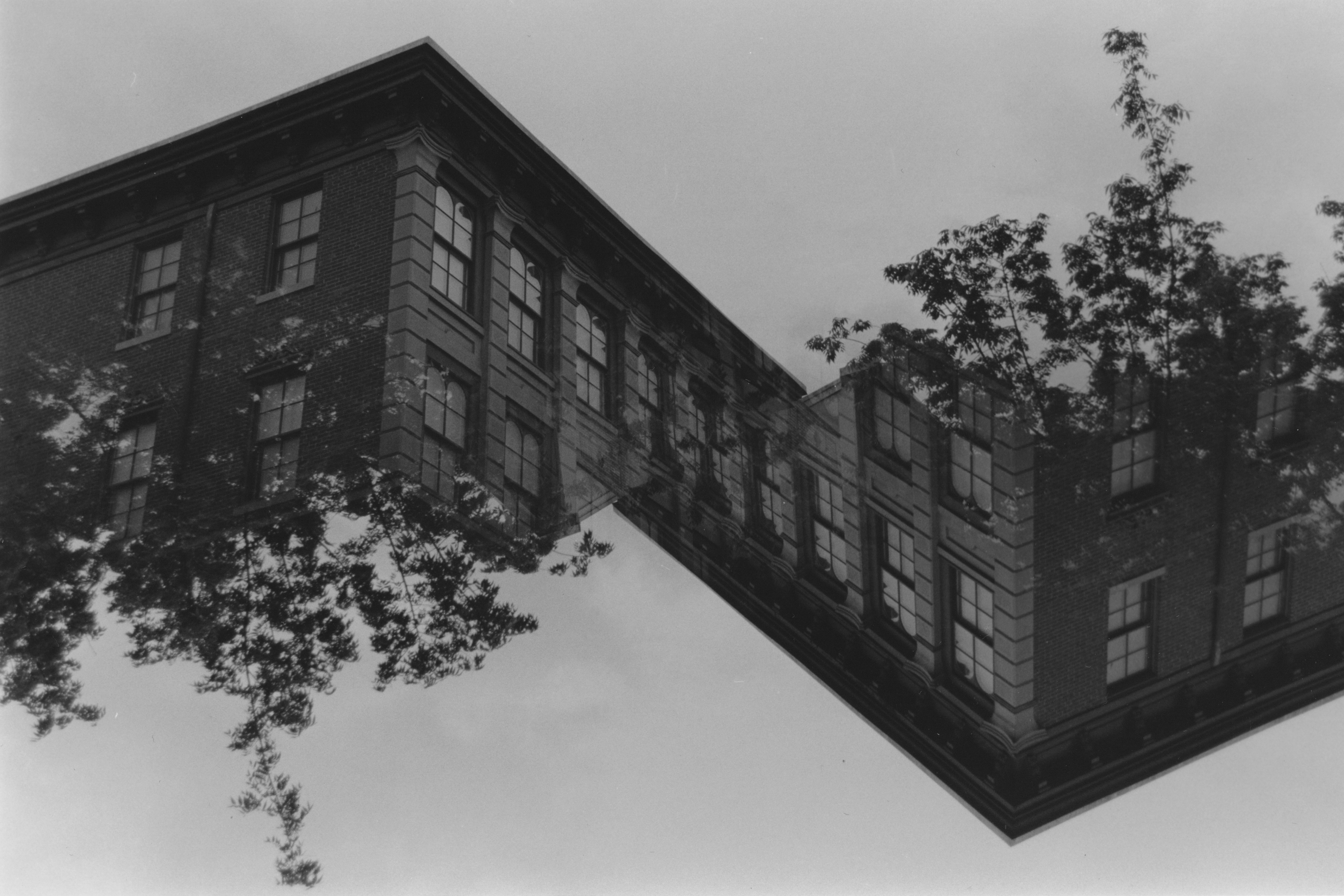 Seeing Double by Zack Draper — image 4 of 4