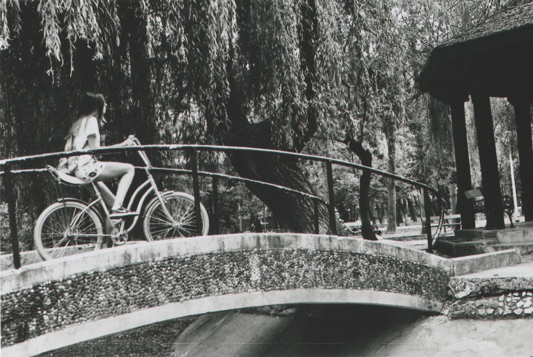 Explorations by Daniel Ciochina — image 3 of 5