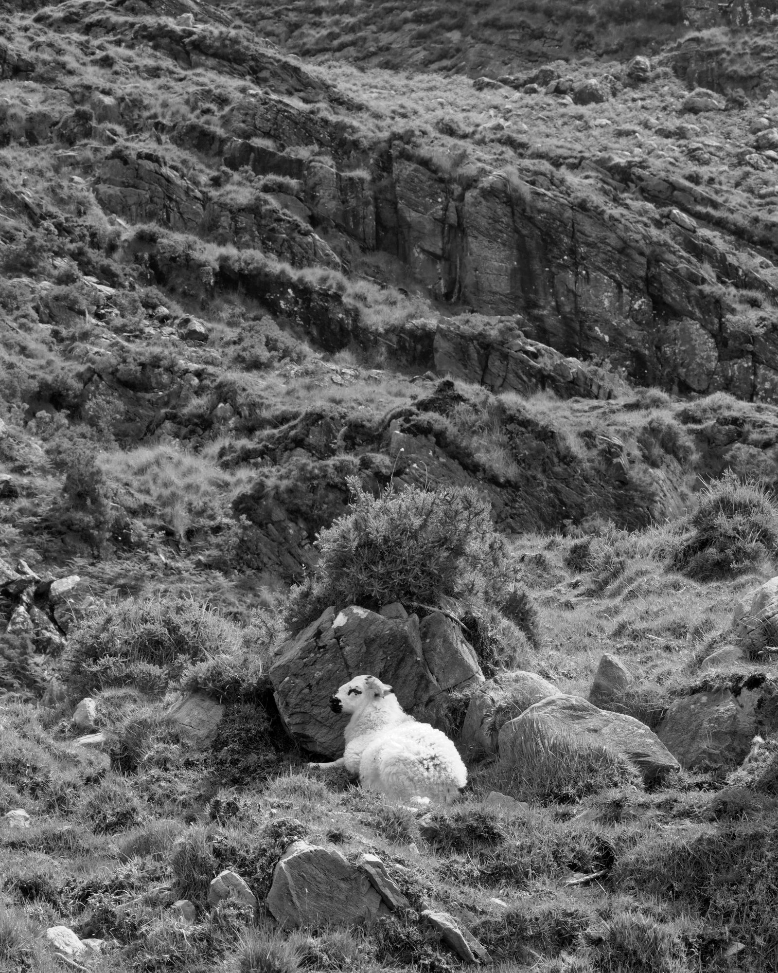 Unaware by Joel Thomas Blackstock — image 4 of 5