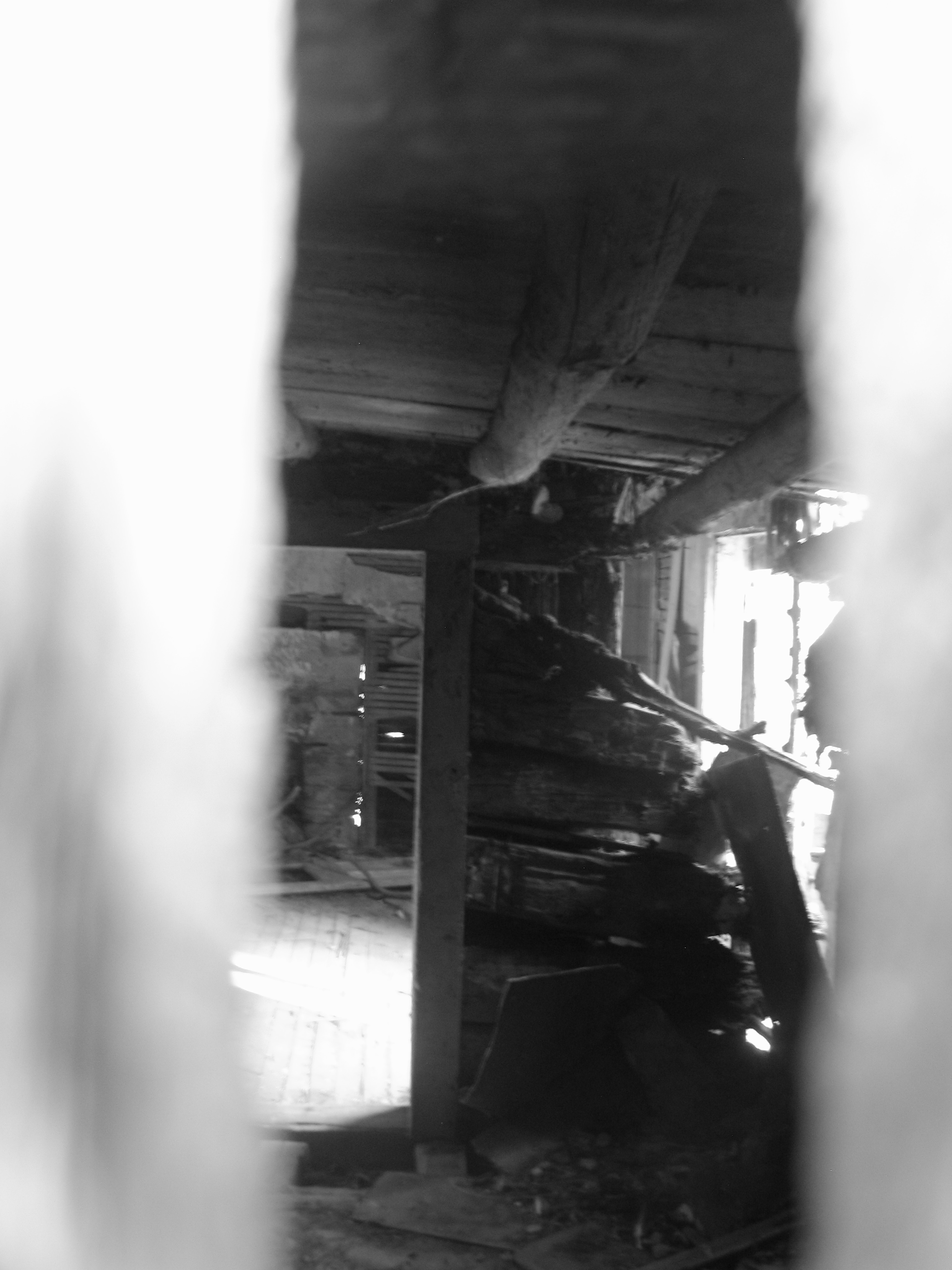 Untitled by Jeff Scott Lane — image 5 of 5