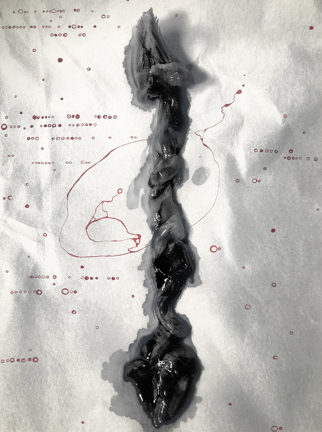 Haruspicy by Tara Cronin — image 5 of 5