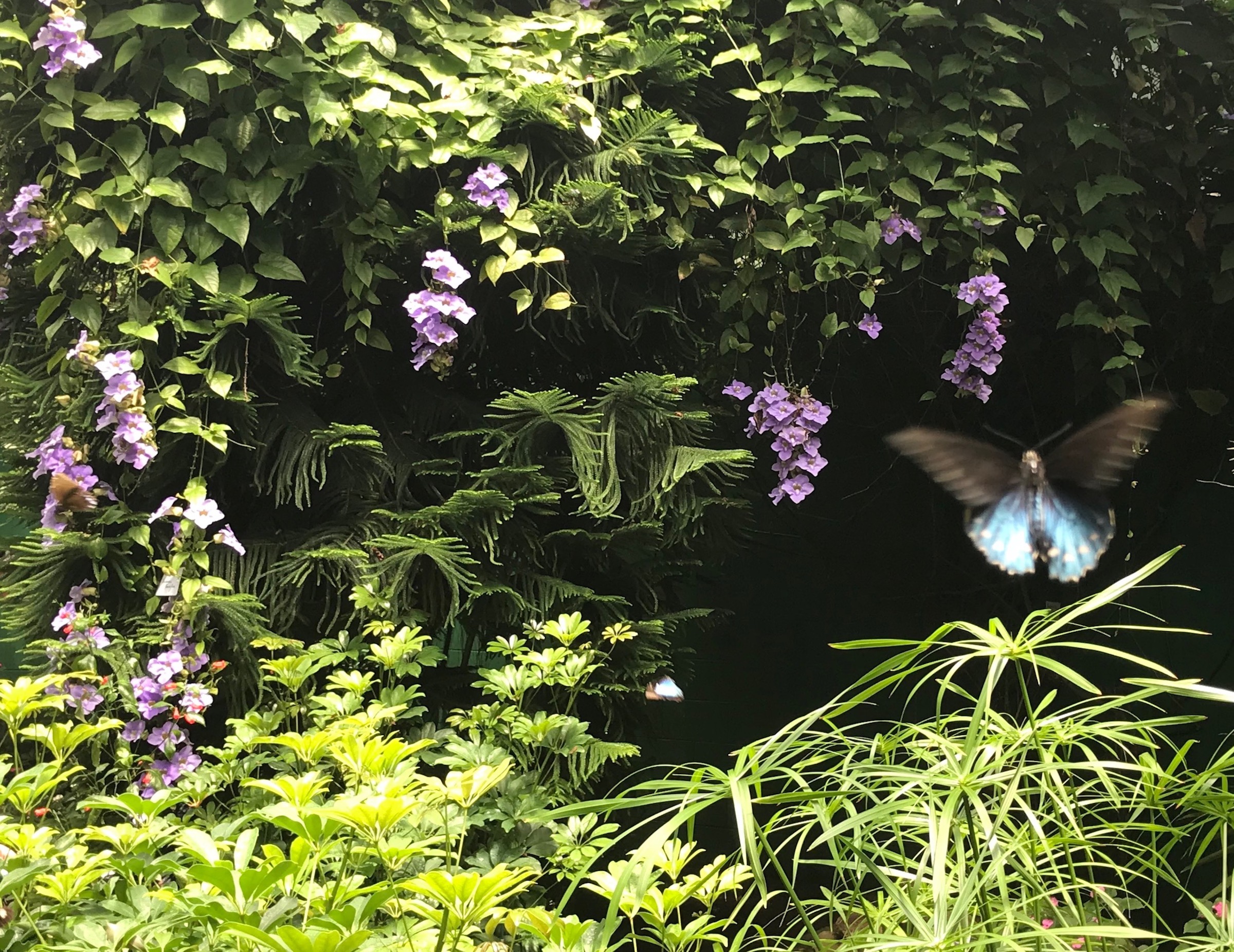 Lone Worshiper by Sarah Deckro — image 4 of 5