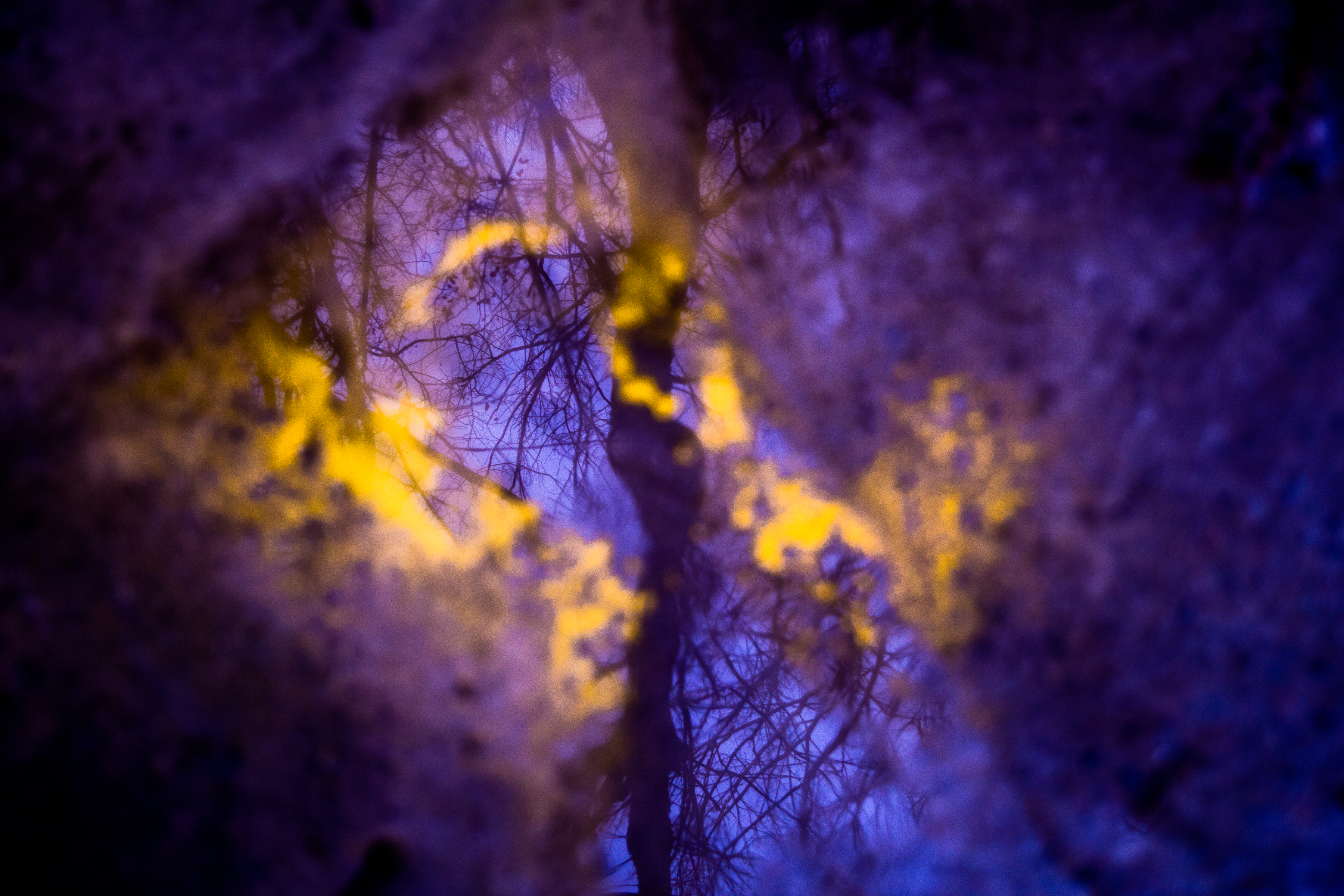 Reflections by Ace Ferrer — image 3 of 5