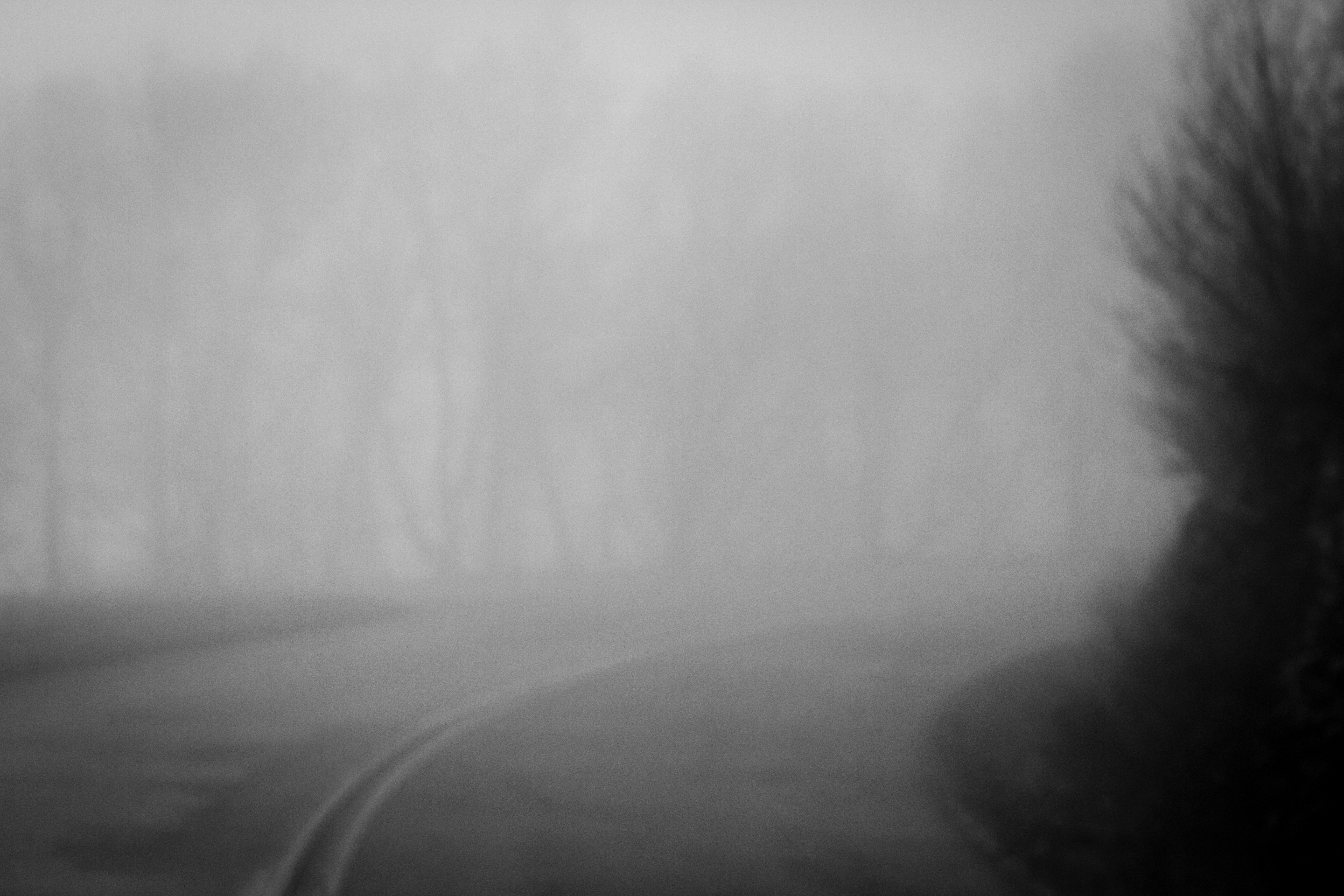 Escarpment Fog by Benjamin Erlandson — image 4 of 5
