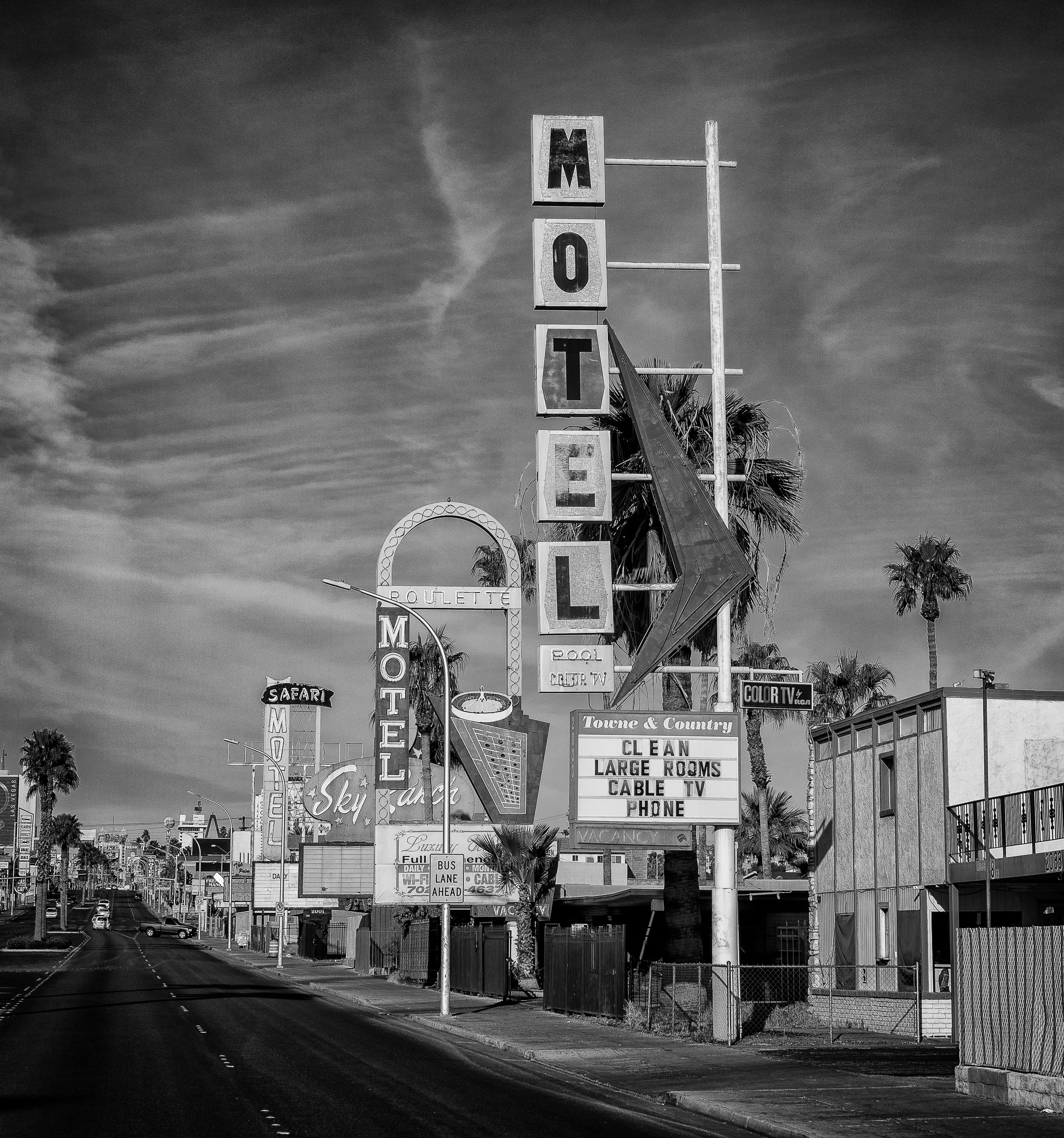 Leaving Las Vegas by Alex Stolis — image 4 of 5