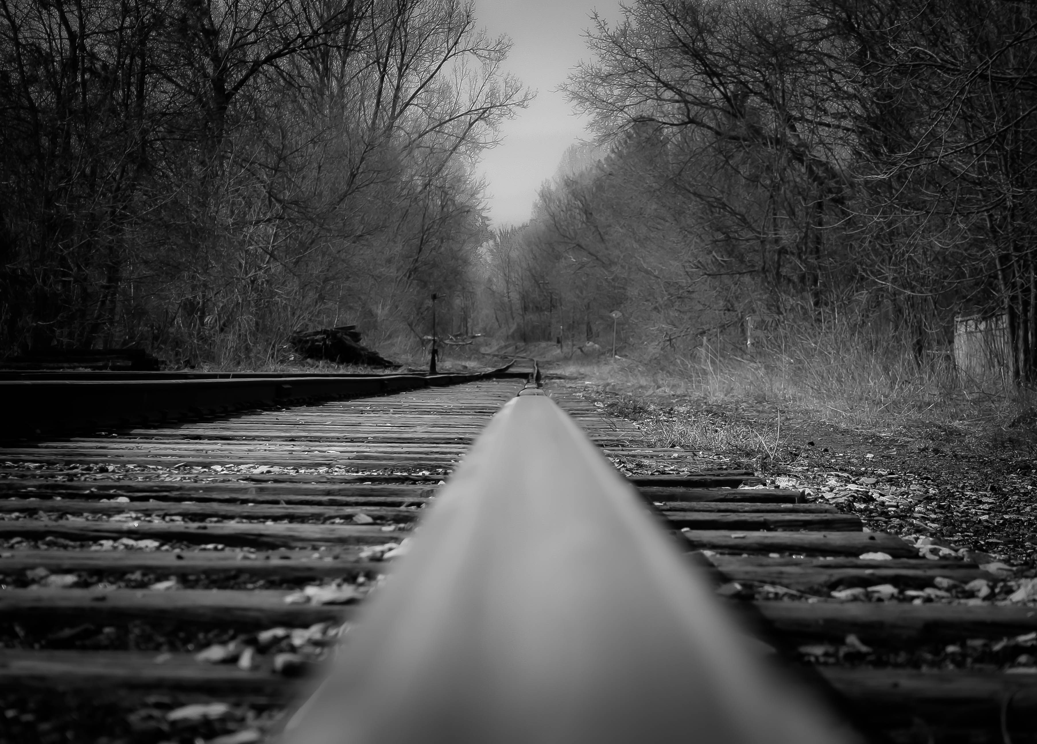 A Day Without Color by Sherri Rose — image 4 of 5