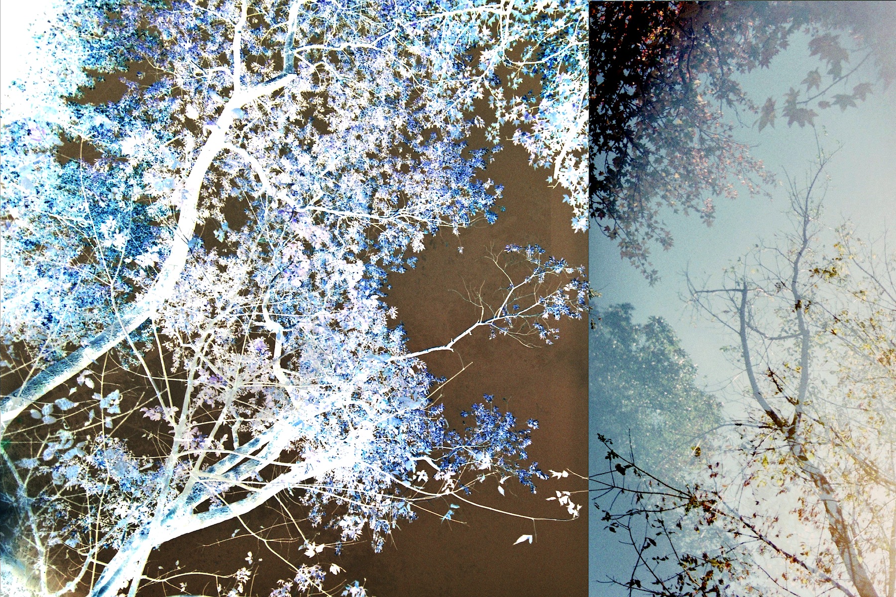 Transitory Space by Leah Oates — image 6 of 6