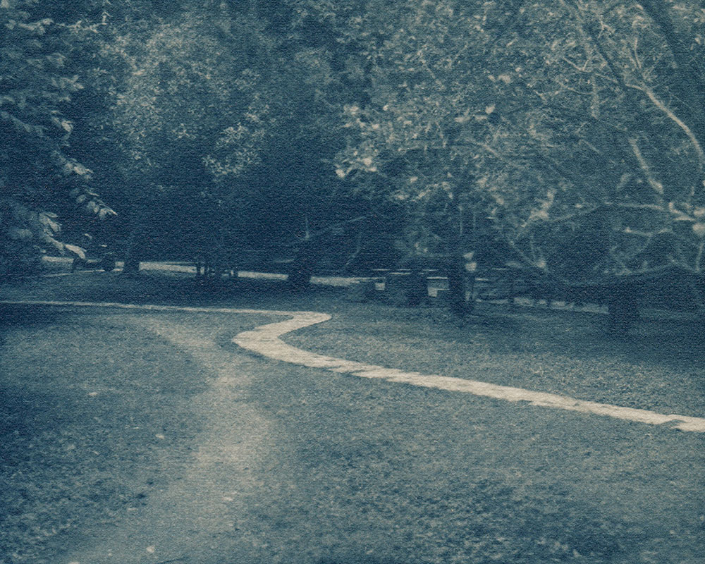 Solitary by Jing Lin — image 5 of 5