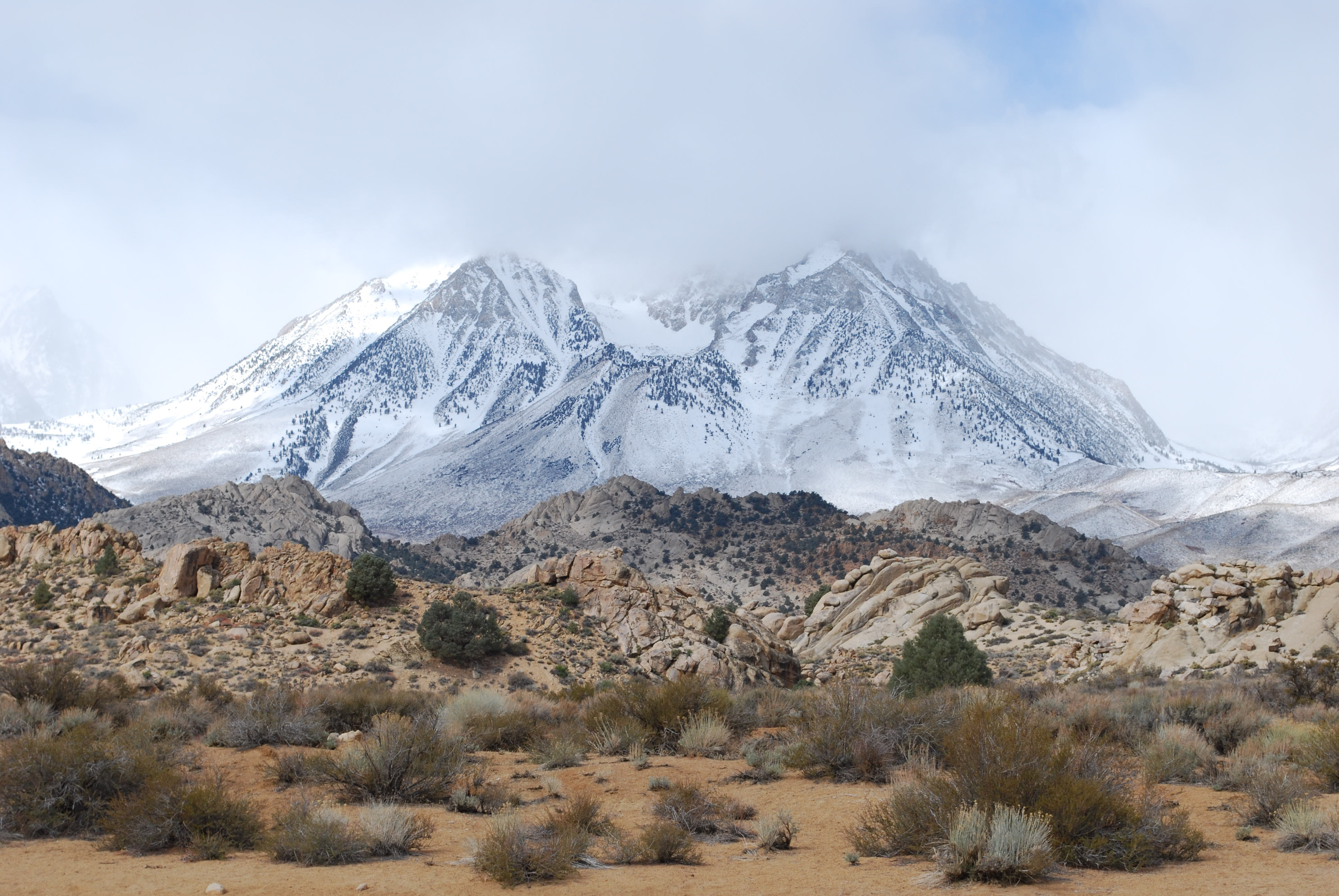 Midwinter Night's Dream by Aubrey Ann Laughlin — image 6 of 6