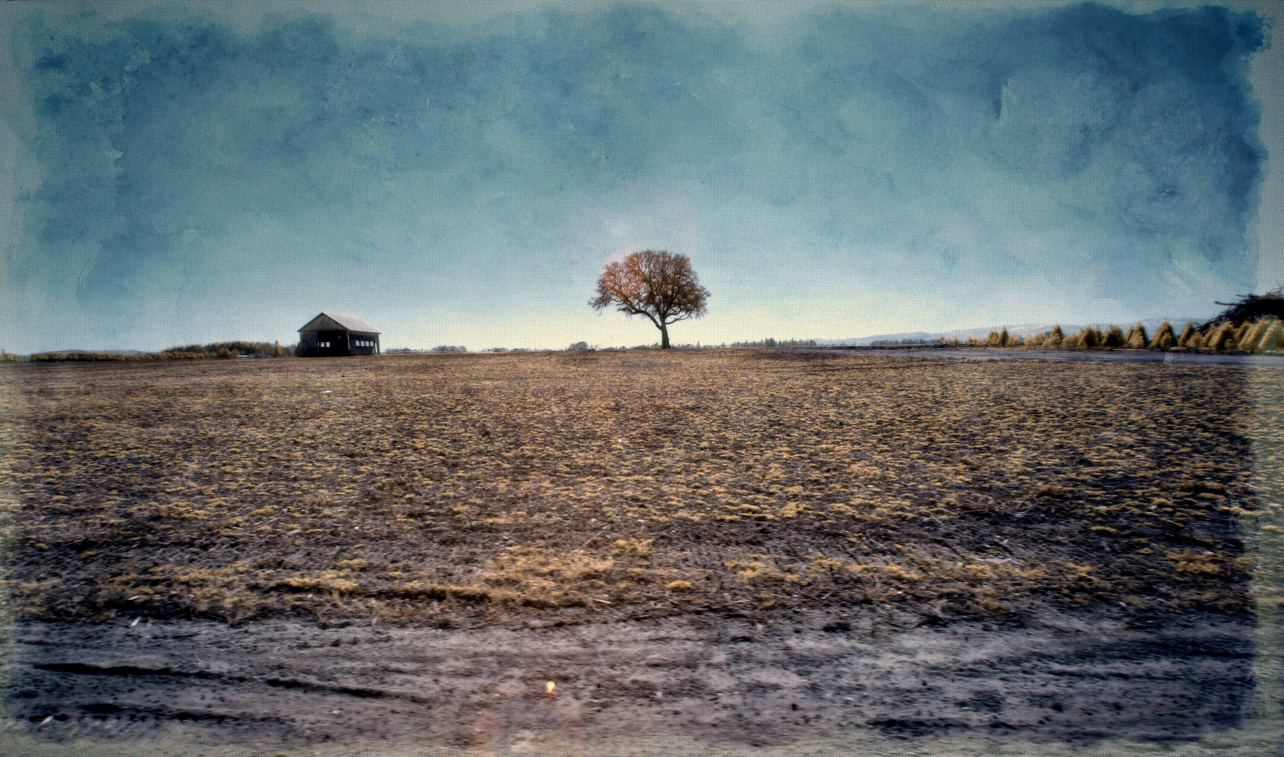 Rural Routes by River Teeth — image 5 of 5