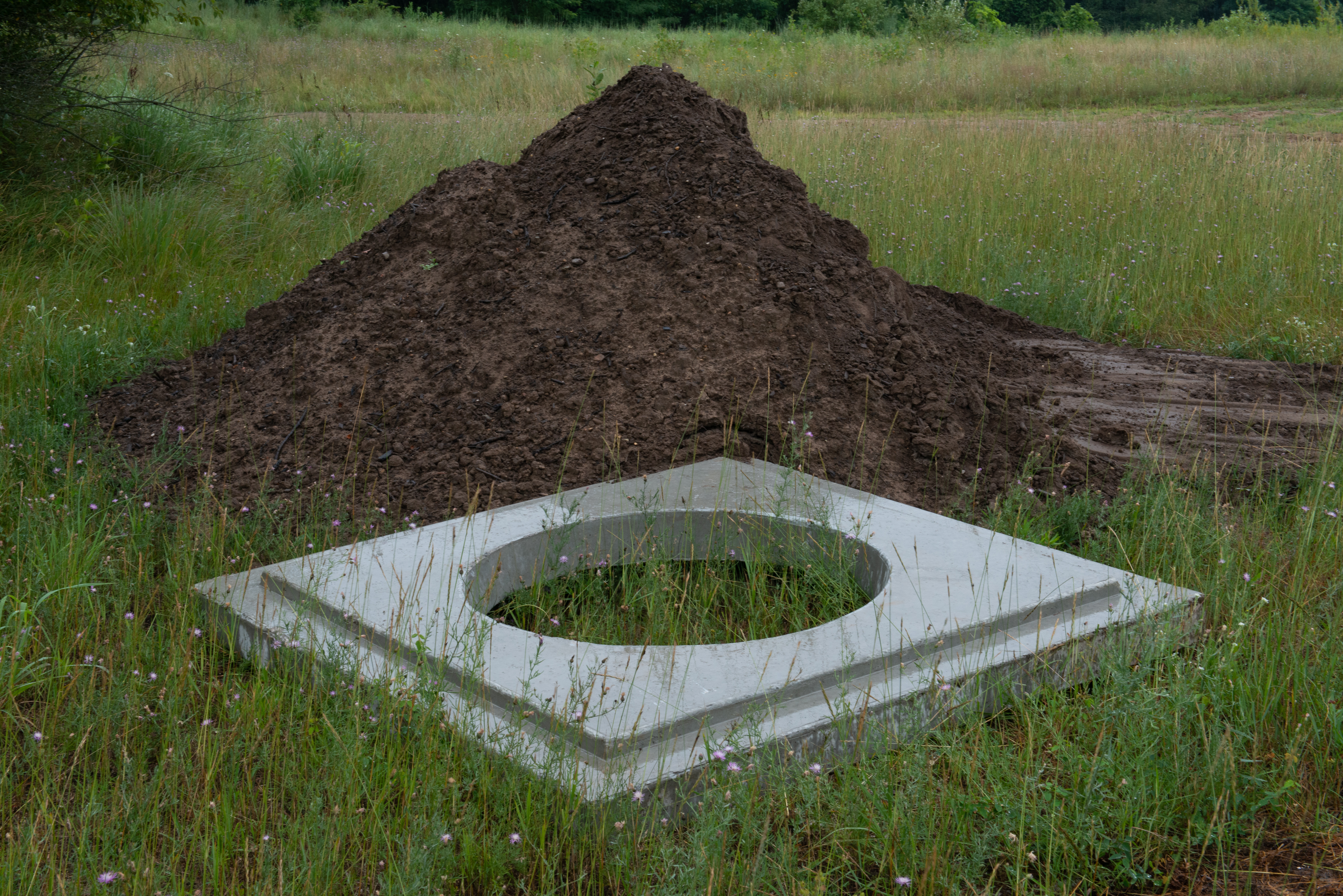 The Shape of A Feeling and by Nina Isabelle — image 5 of 5