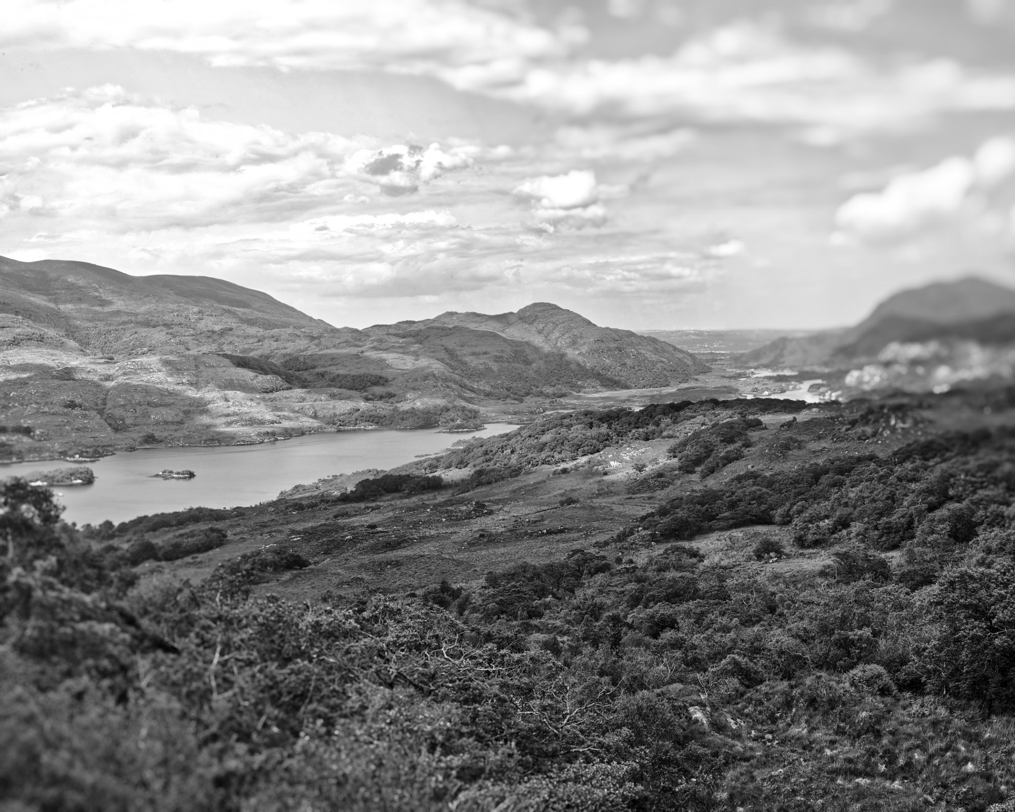 Unaware by Joel Thomas Blackstock — image 5 of 5