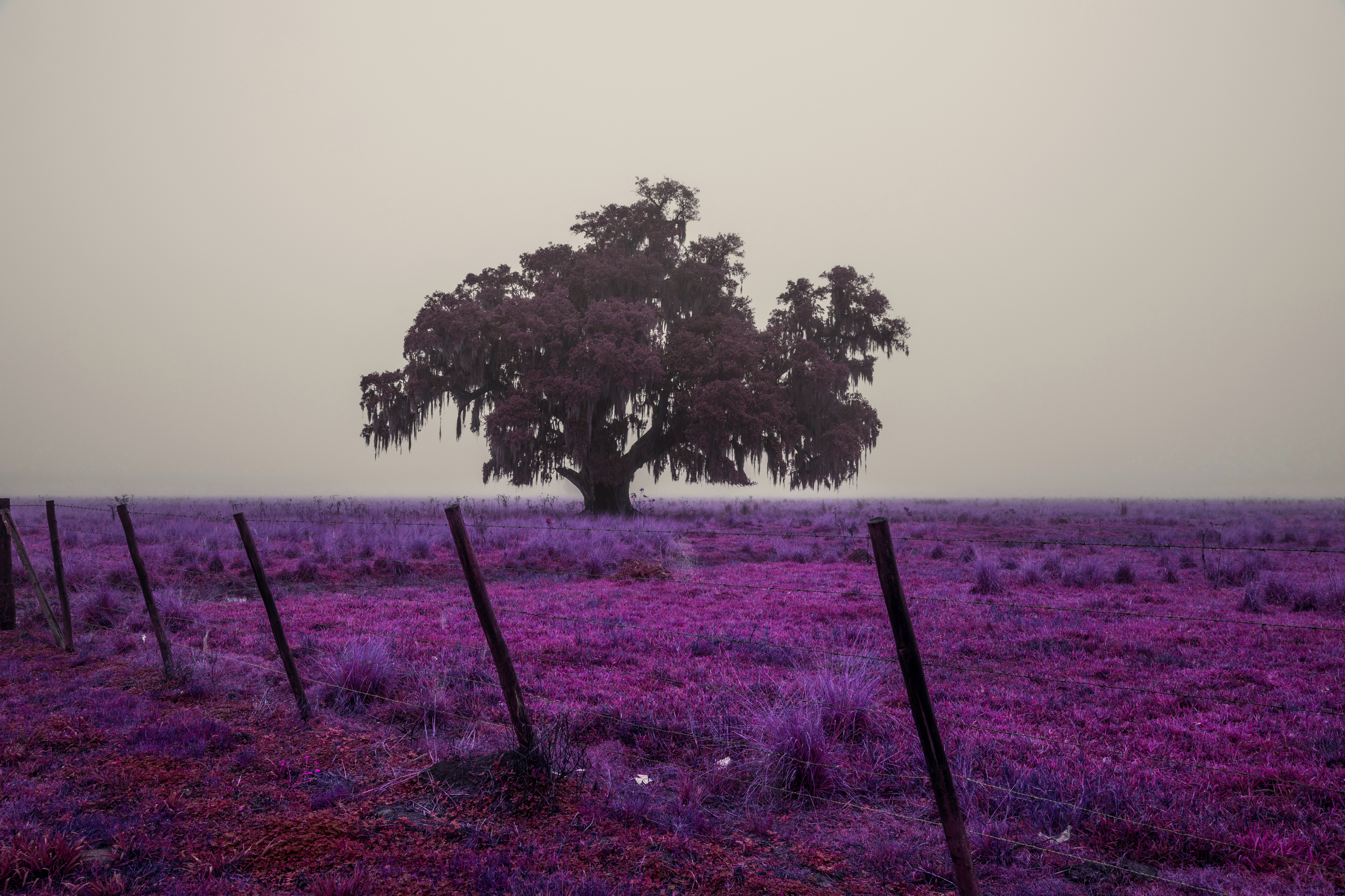 Accouterments by Rhett Pritchard — image 2 of 3