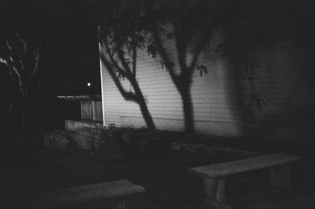 Almost Gone by Denise M Oehl — image 6 of 6