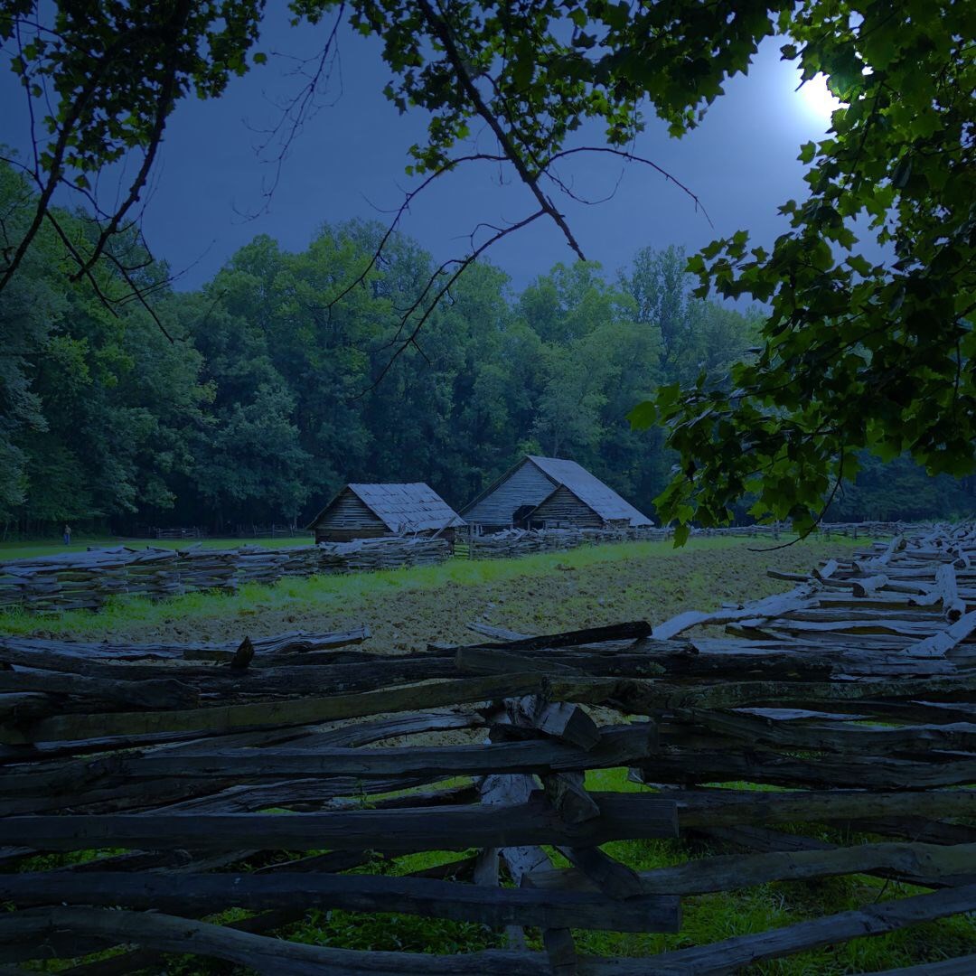 Photography ​ by Russell Whaley — image 4 of 4