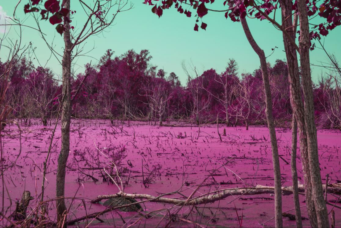 Accouterments by Rhett Pritchard — image 3 of 3