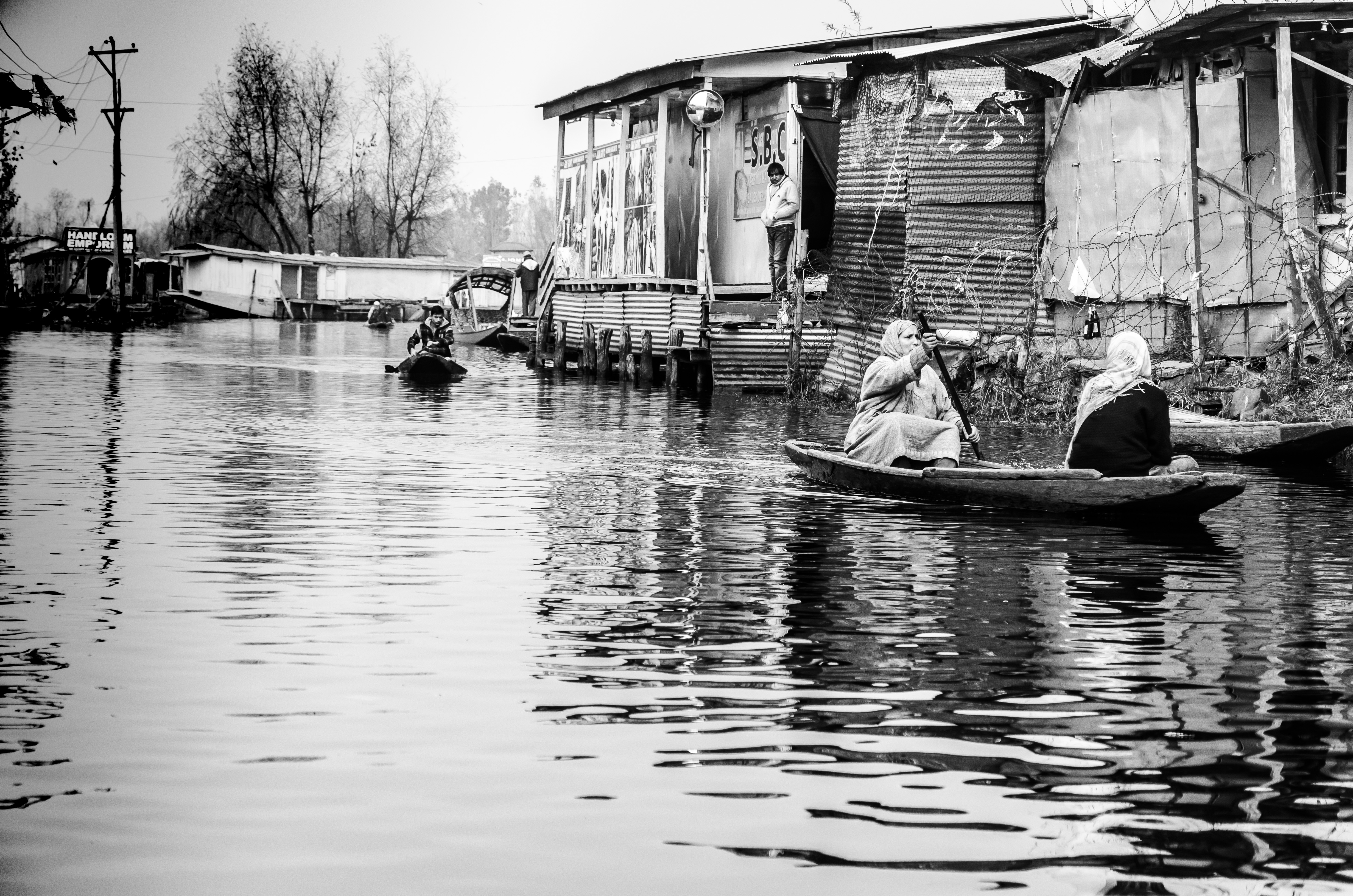 People, Nature, Objects by Vijay Sarathi — image 4 of 4