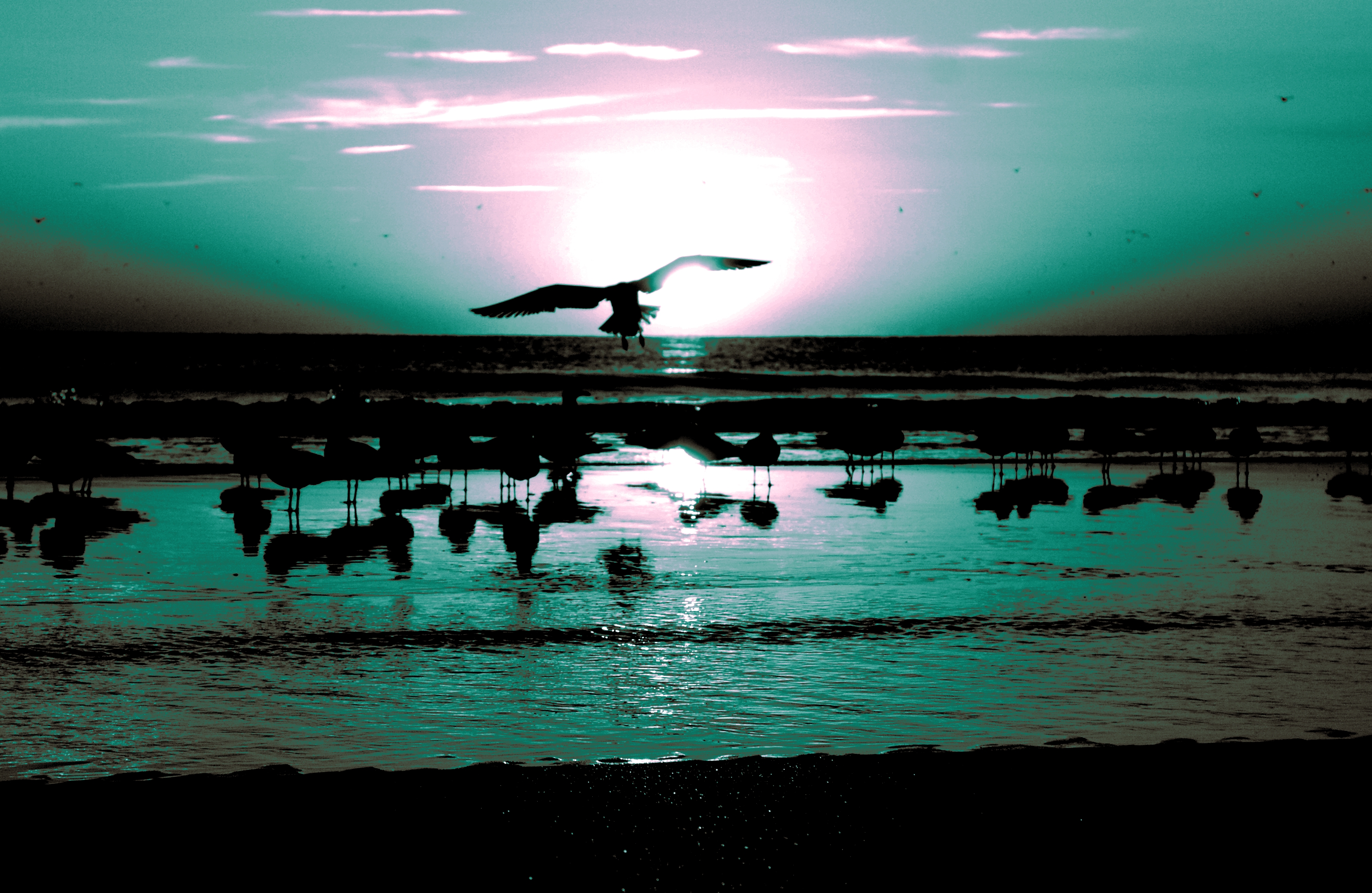 waiting for the sun by George L Stein — image 6 of 6