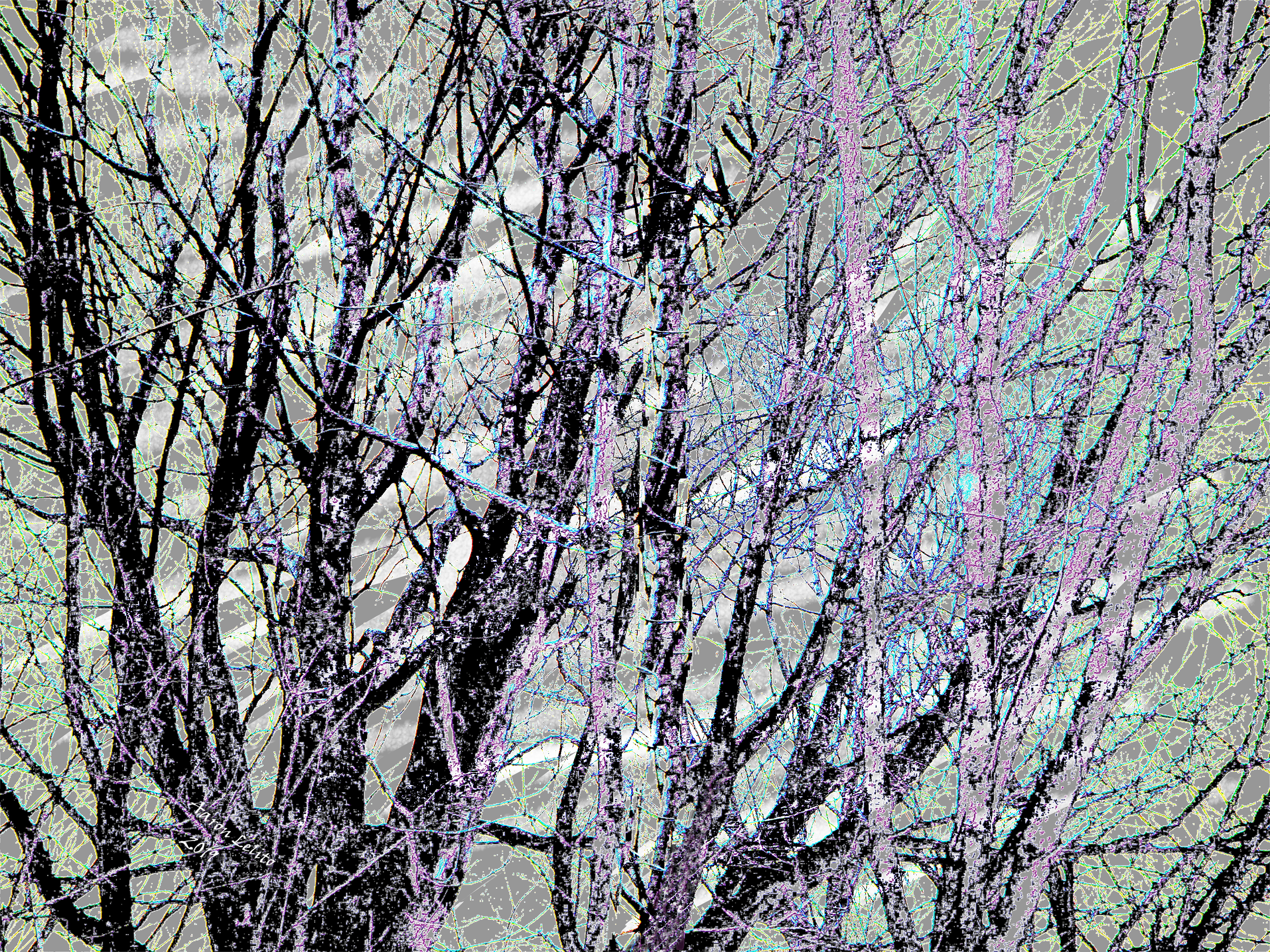 The Sedulous Speech of Fruit As It Falls by Aaron Lelito — image 3 of 3