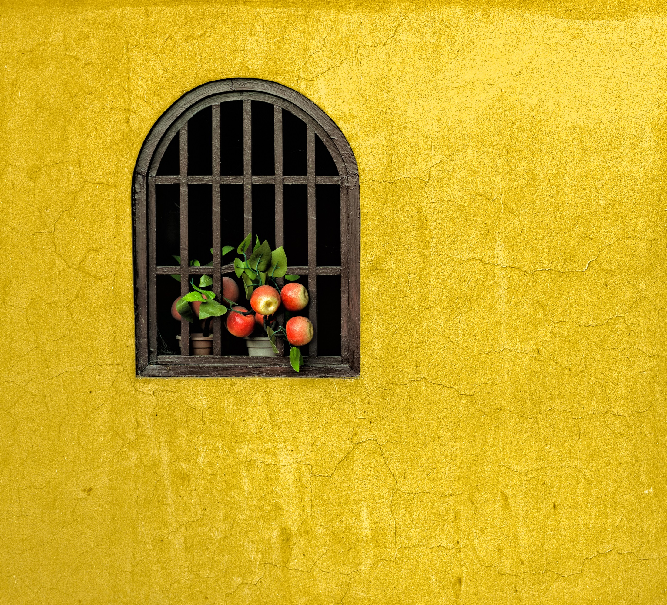 Raza's Photography by Mohsin Raza — image 3 of 3