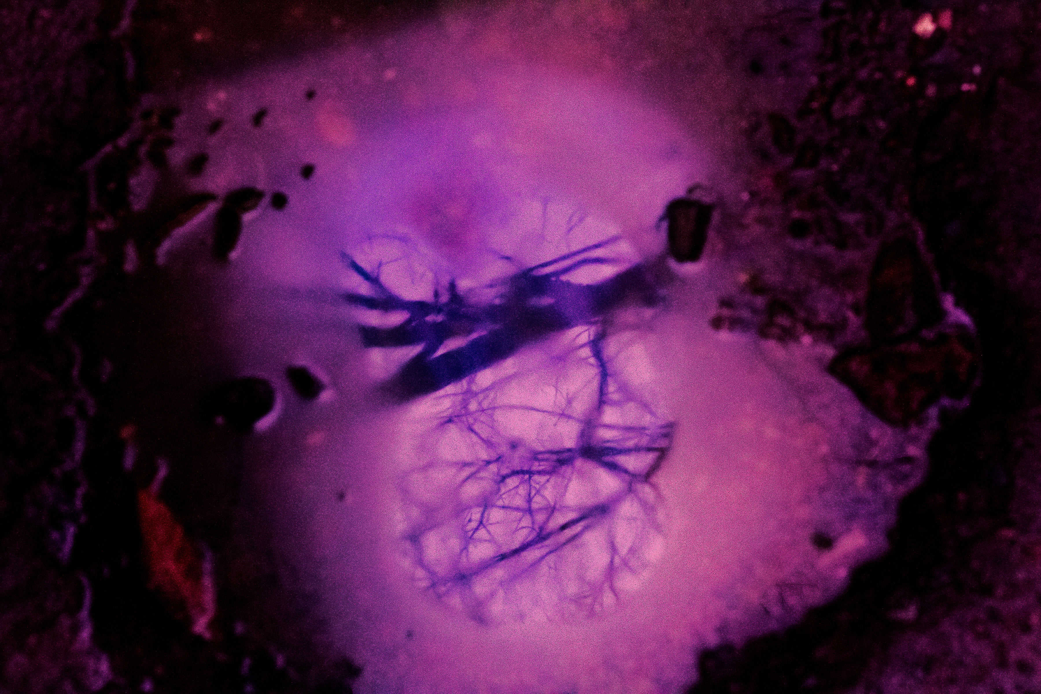 Reflections by Ace Ferrer — image 4 of 5