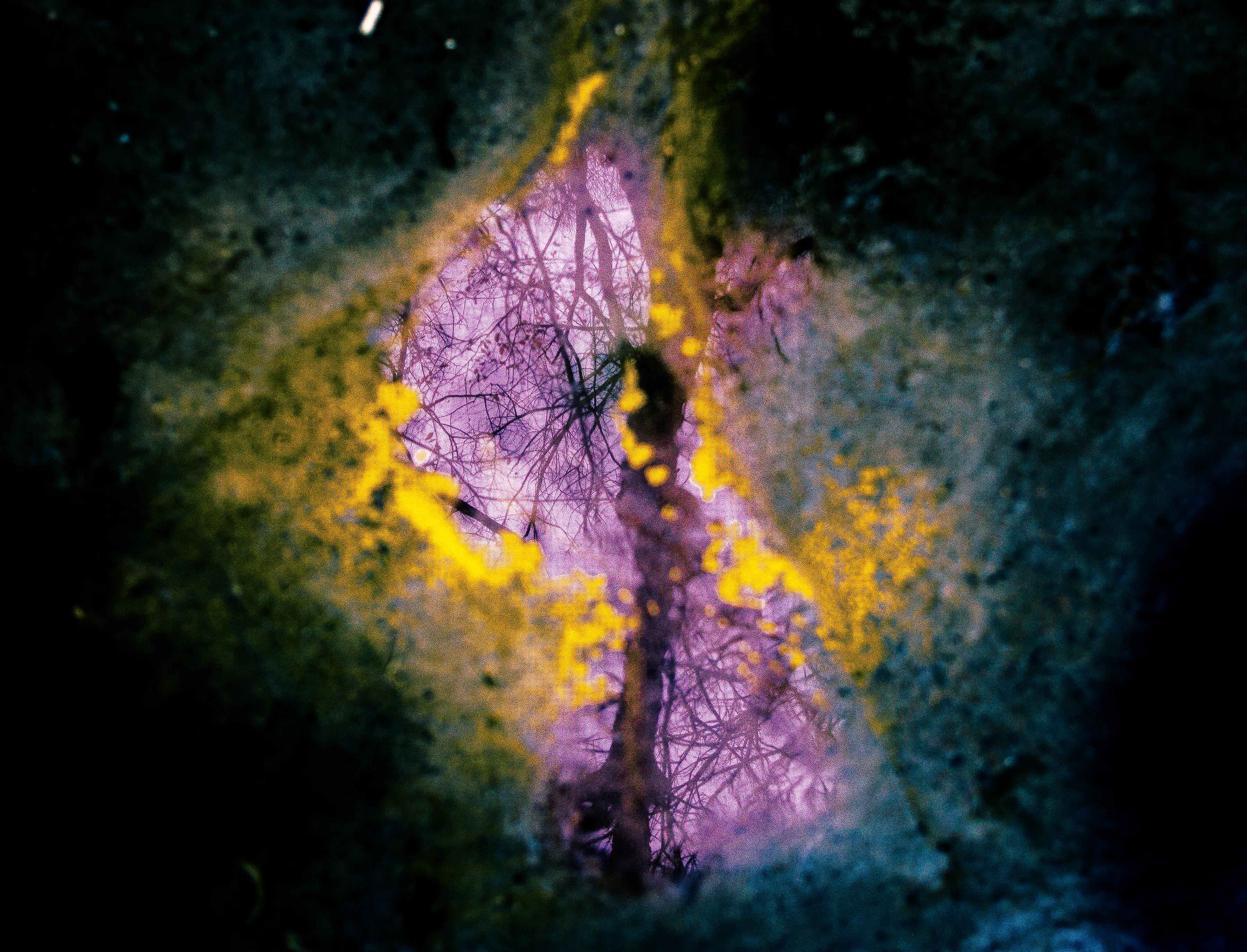 Reflections by Ace Ferrer — image 5 of 5