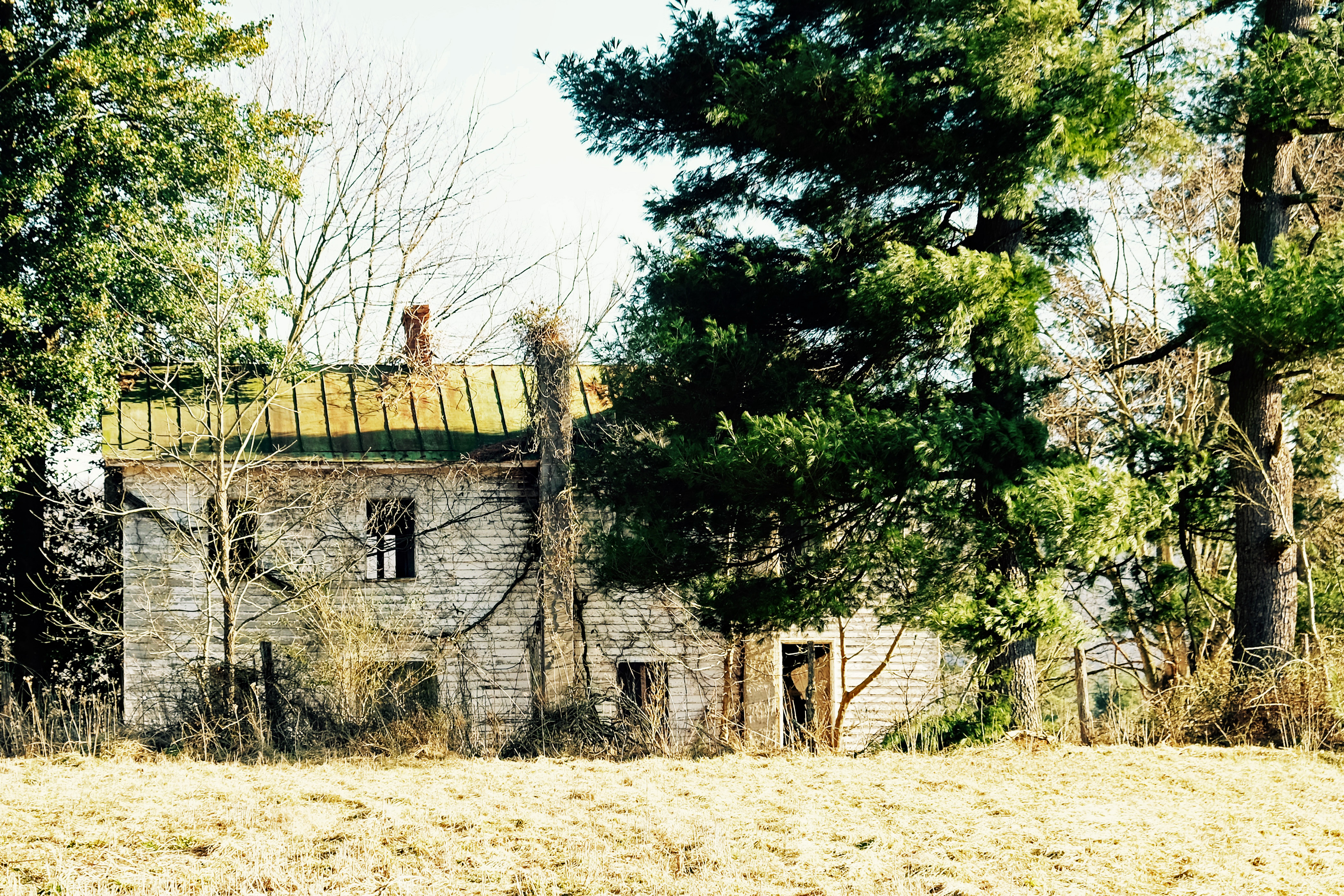 After the Journey by Sarah E N Kohrs — image 5 of 5