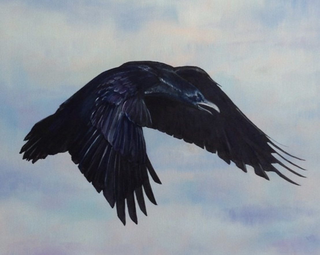 Raven