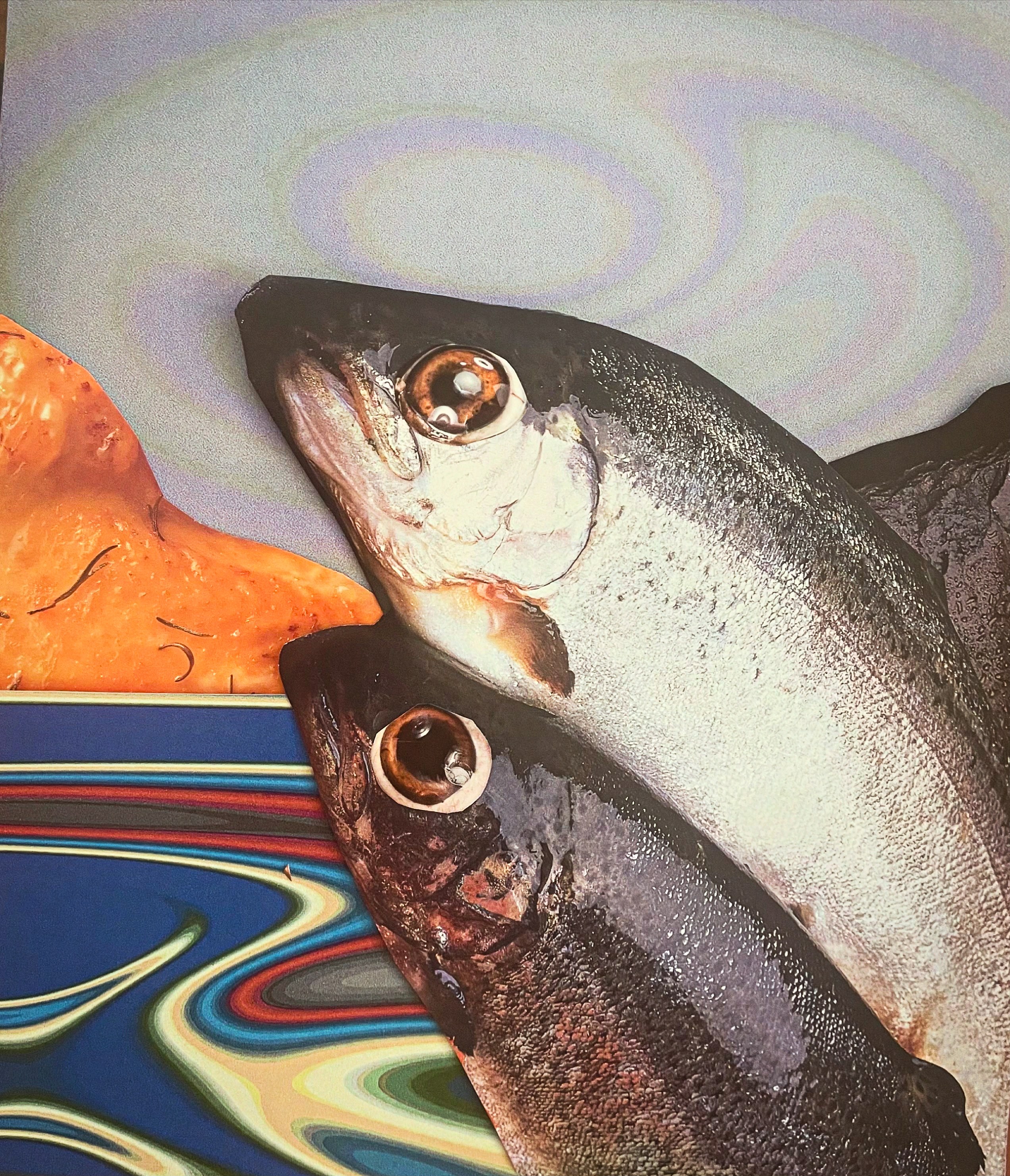 Fish Head Fractals (5″ × 8″, collage)